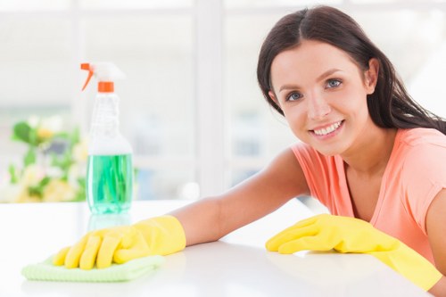 Professional carpet cleaner in Greenwich deep cleaning a living room carpet