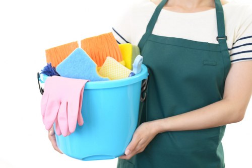 Accessibility support on the Greenwich Cleaners website