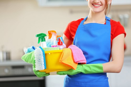 Cleaning and recycling materials sorted for sustainability in Greenwich
