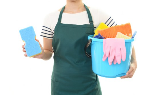 Professional cleaner in Greenwich preparing a spotless living room