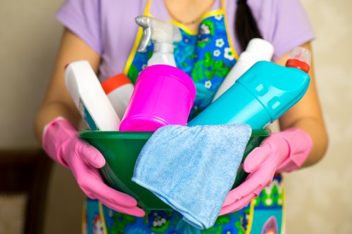 Greenwich Cleaners team providing professional cleaning services in a tidy interior
