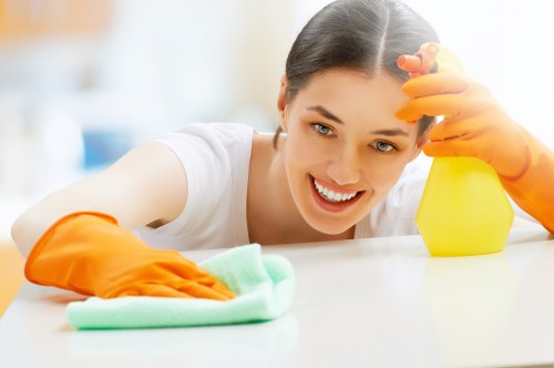 Professional carpet cleaner in Greenwich removing dirt from a home carpet