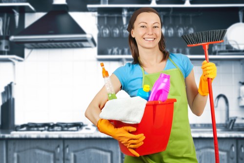 Seasonal deep cleaning tasks for house cleaning in Greenwich
