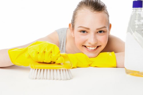 Eco-friendly cleaning service for homes in Greenwich
