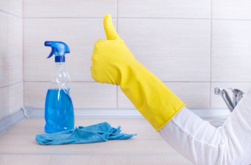 Deep cleaning service in Greenwich for a bright bathroom
