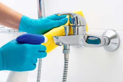 Local Greenwich cleaning service options for residents and businesses