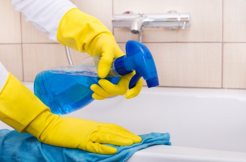 Professional Greenwich cleaners working in a tidy home interior
