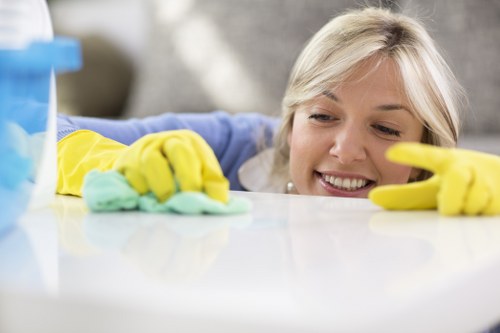 Carpet cleaner in Greenwich restoring a busy household carpet