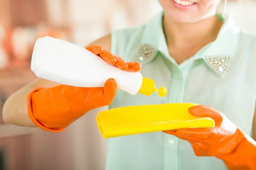 Professional home cleaning setup for a Greenwich household kitchen