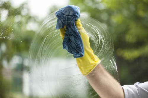 Greenwich cleaners performing detailed interior cleaning