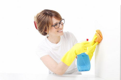 Modern Greenwich cleaning team supporting a clean and healthy environment