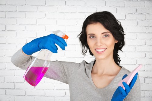 Seasonal domestic cleaning in Greenwich for a bright, organised home