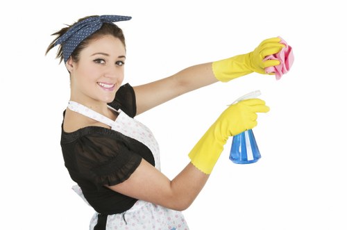 Carpet cleaning equipment used in a Greenwich property