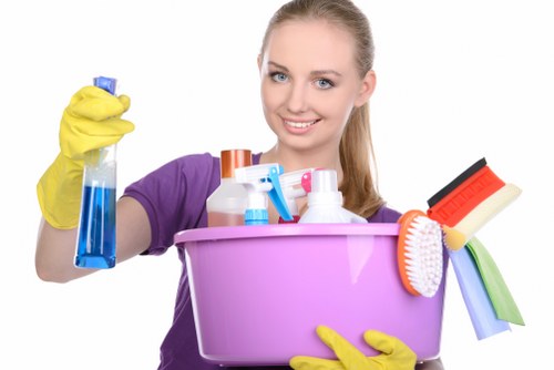 Greenwich cleaner handling kitchen cleaning in a modern home