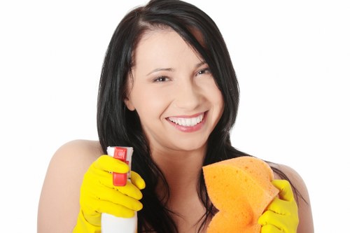 Domestic cleaning service in Greenwich for a tidy and fresh home