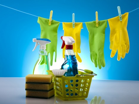 Detailed cleaning approach by Greenwich Cleaners in a well-maintained home or office