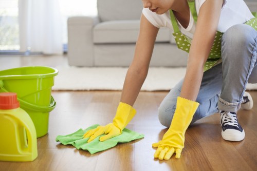Technician performing deep sofa cleaning in a Greenwich home
