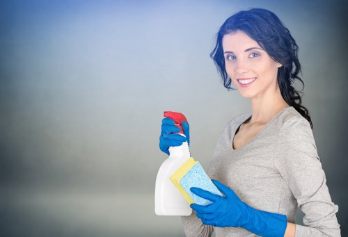 Cleaning tools and fresh home interior for Greenwich household cleaning