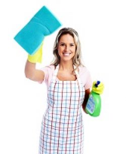 Greenwich Domestic Cleaners SE10